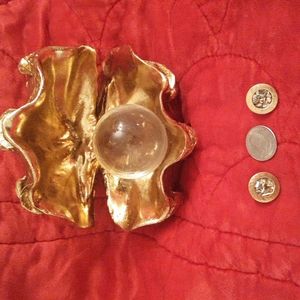 🌺GOLDTONE ENCASED Earrings